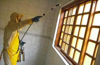 Dedetizadora Teresina - Foto 1