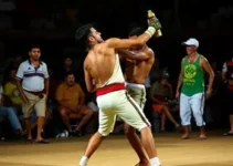 Campeonato Estadual de Capoeira