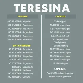 Carnaval em Teresina