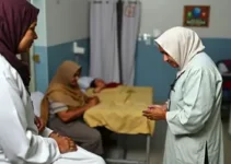 cuidados paliativos no SUS