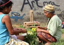 Arte Santeira do Piauí