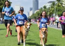 Caminhada e Corrida Iaspi