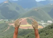 oportunidades de emprego