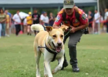 Últimas noticias de Teresina