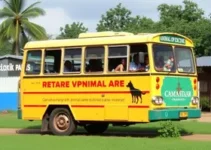 Ônibus da Castração