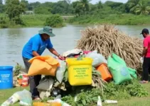 Semana do Meio Ambiente
