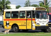 Busão da Castração