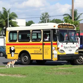 Busão da Castração