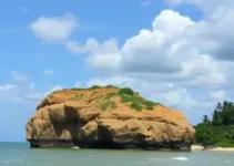 contas reprovadas