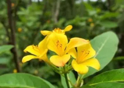 Últimas noticias de Teresina