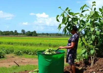 Últimas noticias de Teresina