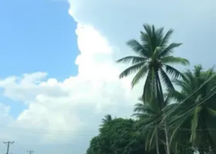 Últimas noticias de Teresina