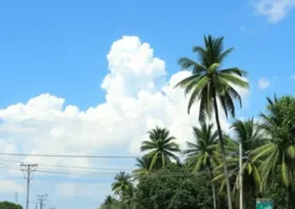 Últimas noticias de Teresina
