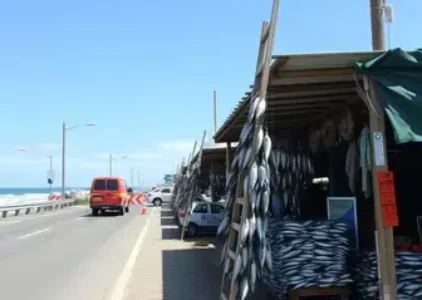 Últimas noticias de Teresina