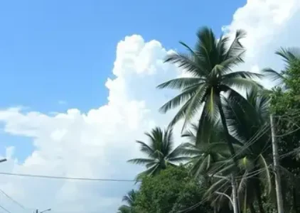 Últimas noticias de Teresina