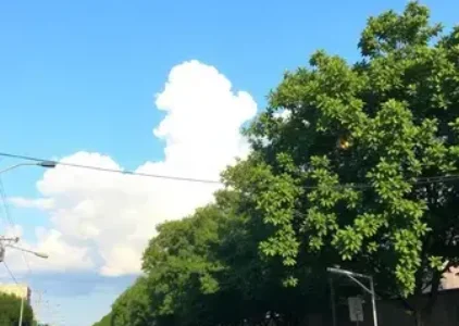Últimas noticias de Teresina