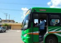 passagem gratuita de ônibus em Teresina nas eleições 2026
