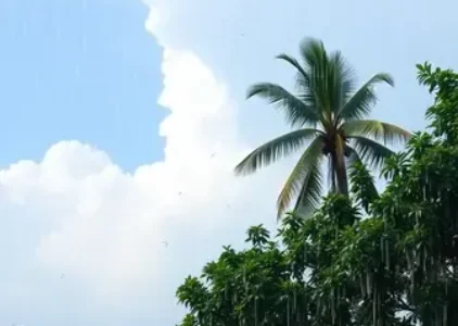 Últimas noticias de Teresina